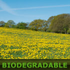 Biodegradable Oils, Lubricants and Greases